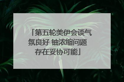 第五轮美伊会谈气氛良好 铀浓缩问题存在妥协可能
